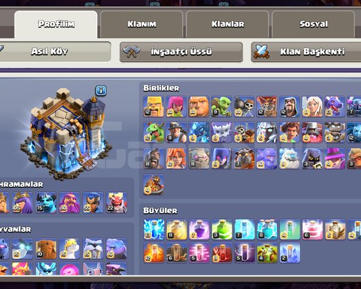 FULL HESAP TEK BAĞ DİREK TESLİM