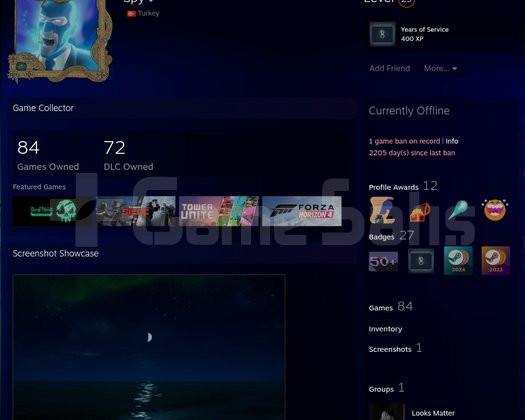 84 OYUN GTA5, SEA OF THIEVES, FORZA4, ASETTO CORSA