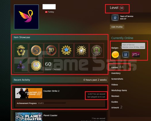 FACEİT+50K OYUN+9 MADALYA 225 WİN 1017 SAAT SEÇKİN