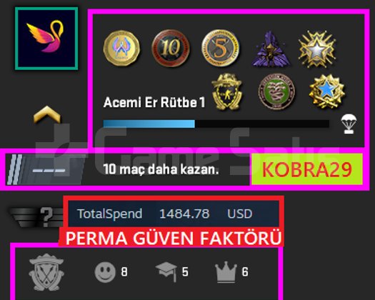 FACEİT+50K OYUN+9 MADALYA 225 WİN 1017 SAAT SEÇKİN