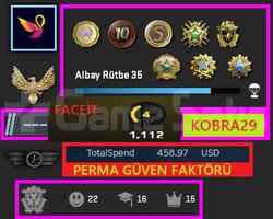 FACEİT+SIRALI 11 MADALYA 1141 WİN 2469 SAAT SEÇKİN