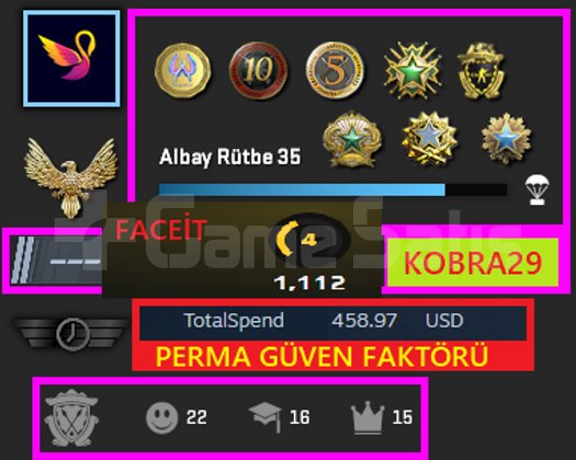 FACEİT+SIRALI 11 MADALYA 1141 WİN 2469 SAAT SEÇKİN