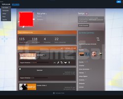 100+ OYUNLU STEAM HESABI