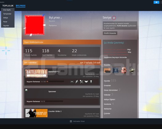 100+ OYUNLU STEAM HESABI