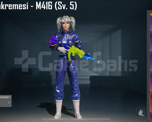 BUZ 6 LVL / KERTENKELE 5 LVL / 1 SPOR ARABA /