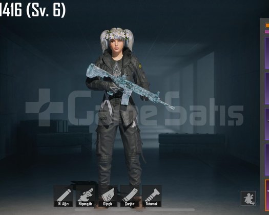 BUZ 6 LVL / KERTENKELE 5 LVL / 1 SPOR ARABA /