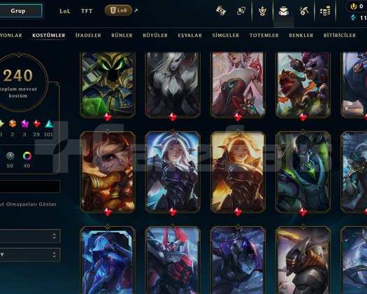 487 LVL 240 KOSTÜM + TFT + TEL ONAYSIZ + PAX SVR
