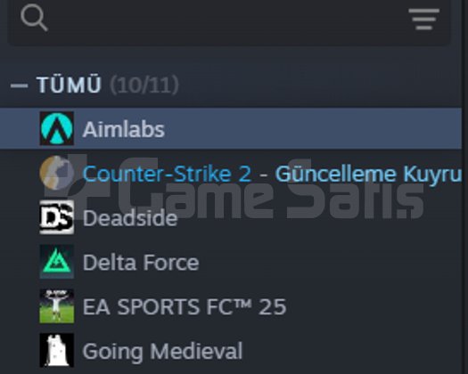 CS2 Prime & FC 25 & 139 İtemli Rust Steam Hesabı