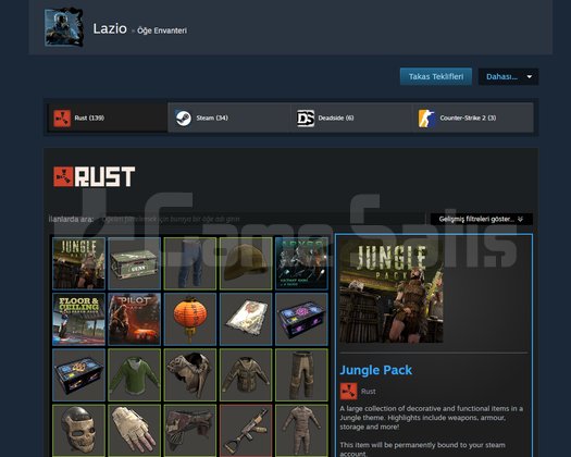 CS2 Prime & FC 25 & 139 İtemli Rust Steam Hesabı
