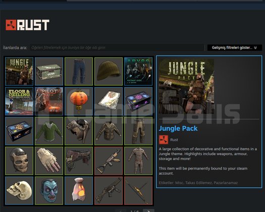 CS2 Prime & FC 25 & 139 İtemli Rust Steam Hesabı