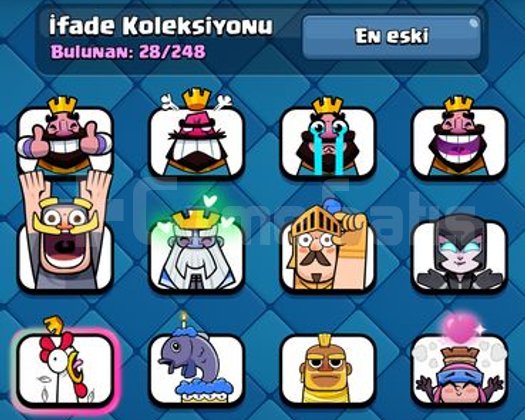 8700 kupa kraliyet devi main
