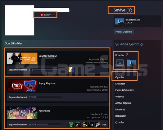 1 MADALYALI 38 LV FACEİT Stardew Valley 911 Operat