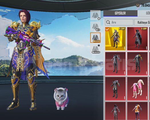 firavun 6 lvl maskara 7 lvl yüz saç nadir hesap