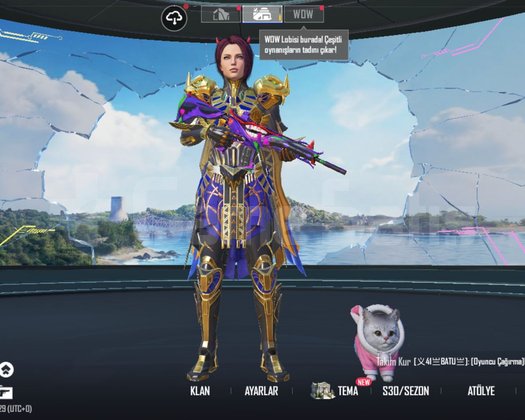 firavun 6 lvl maskara 7 lvl yüz saç nadir hesap