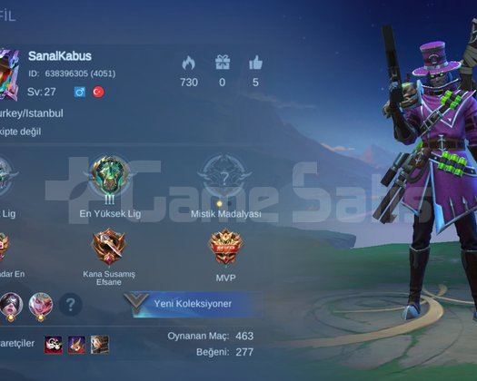 SAĞLAM SMURF HESAP