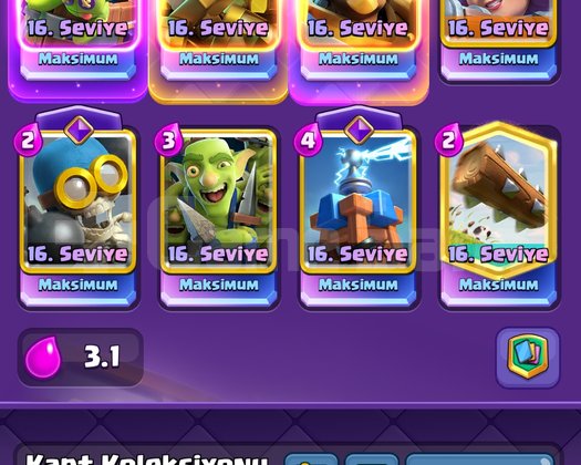 13k kupa full Max hesap
