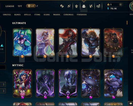 TR | 290 SKİN | UNRANKED