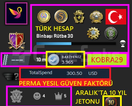 TR HESAP+30K OYN+FACEİT+6 MADALYA 237 WİN 988 SAAT