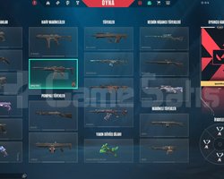 Yüce 2 Ranklı Hesap | Birçok Premium Skin |