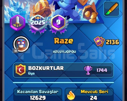Max seviye hesap