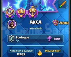 40 tane 16lv 34 tane 15lv / 2000lv81lv DOLU ÇAR