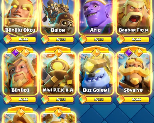 Id Değişebilen Koruma Kapalı 2000 Level Full