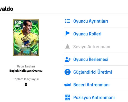 105 YENI GELEN RIVALDO TEK BAG EFSOO