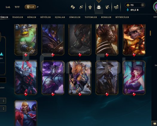 TR + 364 LEVEL + 208 KOSTÜM + 172 HERO + GÜMÜŞ 2!