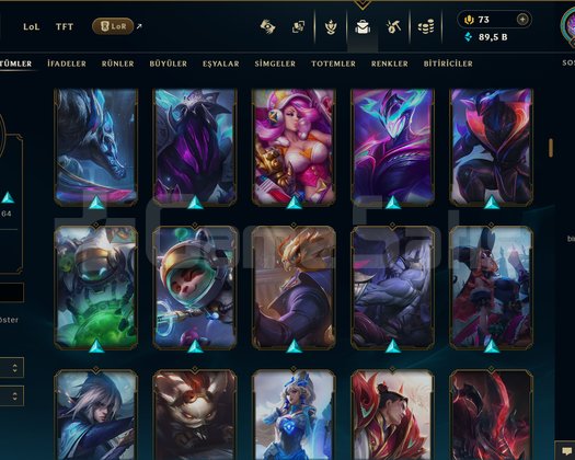 TR + 364 LEVEL + 208 KOSTÜM + 172 HERO + GÜMÜŞ 2!
