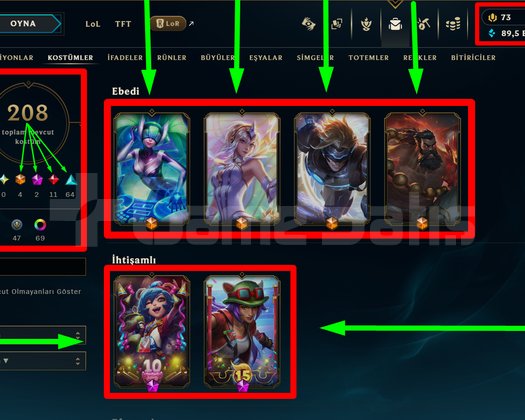 TR + 364 LEVEL + 208 KOSTÜM + 172 HERO + GÜMÜŞ 2!