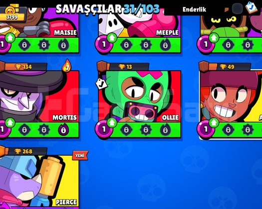 3.7 K BS HESAP