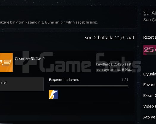 FACEİT10lvl 2050 elo +6 Madalya 2400 saat