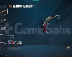 valorant elmas 1 hesap