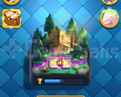 10100 KUPALİ HESAP