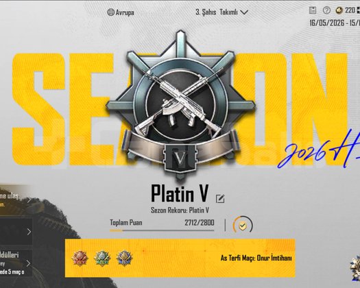 TEK BAĞ !! PLATİN V + 2X ID KARTI ++