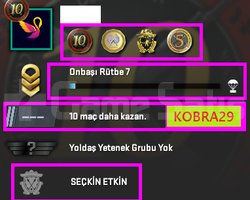 TEK FİYAT ! FACEİT ! 3 MADALYA 11 WİN 26 SAAT
