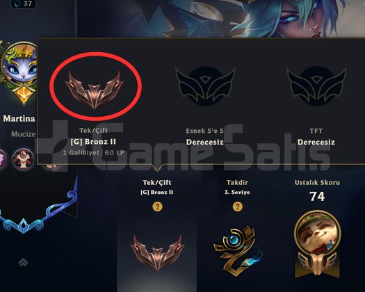 BRONZ 2 + 1 KOSTÜM + 31 HERO + 1K ÖZ + MAİL + TEL!