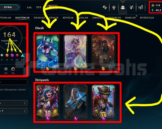 572 LVL + 164 KOSTÜM + 172 HERO + GOLD 2 + MAİL!S
