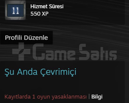 130 LEVEL HESAP