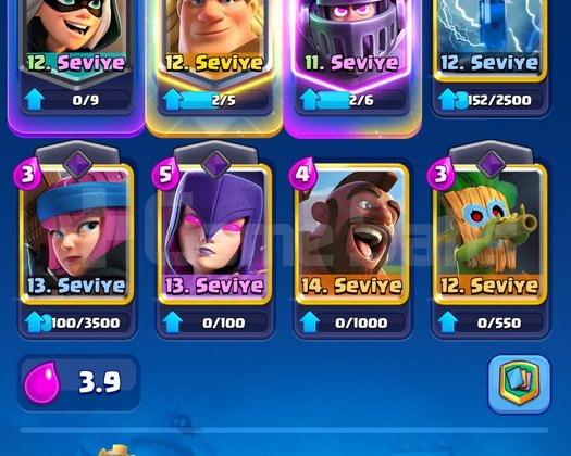 7.3K KUPA 3 EVRİM CR