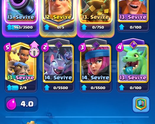 7.3K KUPA 7 EVRİM CR