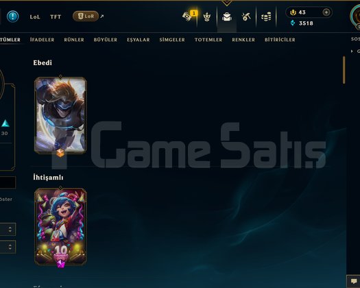 TR | 84 SKİN | GÜMÜŞ 3