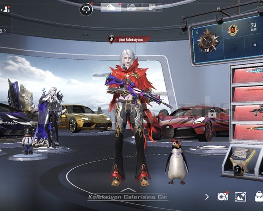 LAMBO KOLEKSİYONCUSU 81.6 KOLEKSİYON KELEPİR HESAP