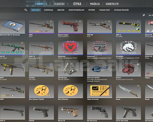 30 LVL | 205 SAAT | 10 DOLAR ENVANTER