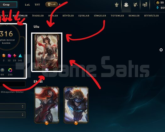 YÜKSELEN EFSANE AHRİ + 325 KOSTÜM + ELMAS 2