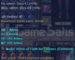 SRO 110 LeVeL Wizard/Cleric / Karya Female