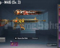 FIRSAT 17 YB + M4
