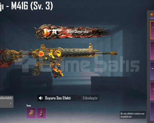 FIRSAT 17 YB + M4