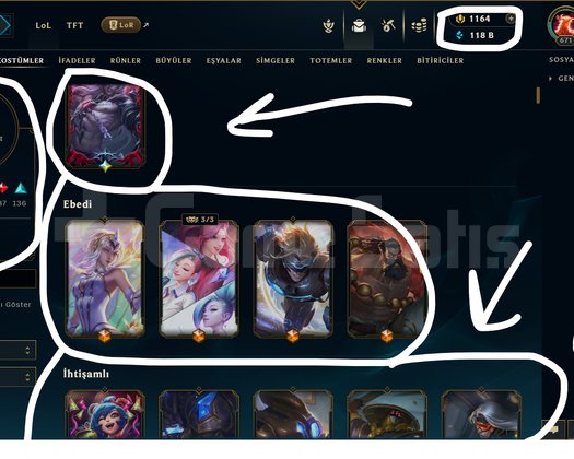 377 SKİN / FUL HERO +HAŞMETLİ +1K RP +MAİL
