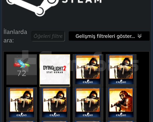Dolu dolu steam kaçırma